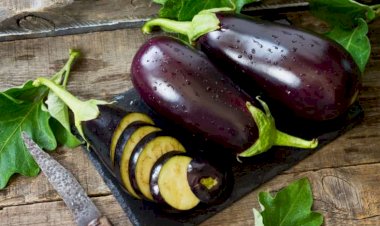 Bu cür badımcanı qəti almaq olmaz