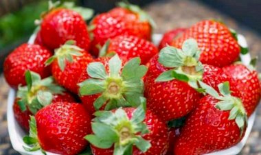 Çiyələklə bağlı əhaliyə xəbərdarlıq edildi