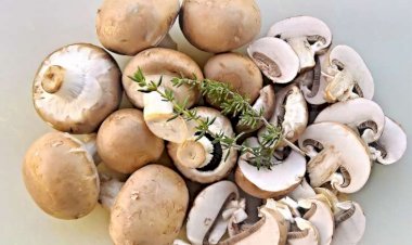 Göbələyin bilmədiyiniz faydaları