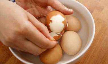 Yumurta qabığını atmayın - Bu faydaları var