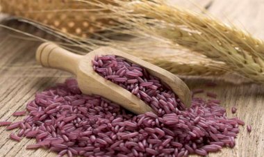 Bu qida xərçəng, diabet və ürək xəstəlikləri əleyhinə yeni vasitədir