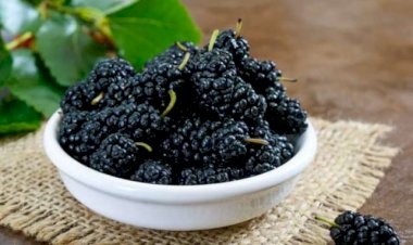 Bu xəstəliyi olanlar tut yeməlidir