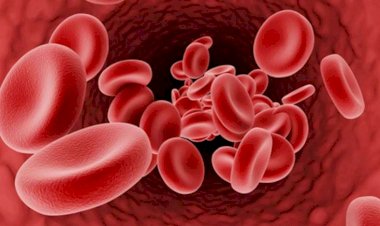 Talassemiya xəstələri hansı halda evlənə bilər? - RƏSMİ