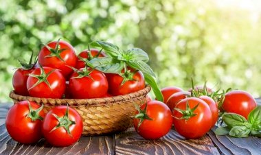 Pomidor yemək bu dərdlərdən qoruyur