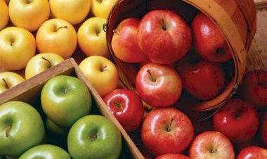 Gündə bir ədəd alma yeyin - Bilinməyən faydaları