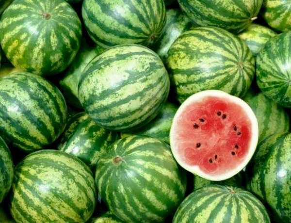 Bu aylarda qarpız yemək olar?